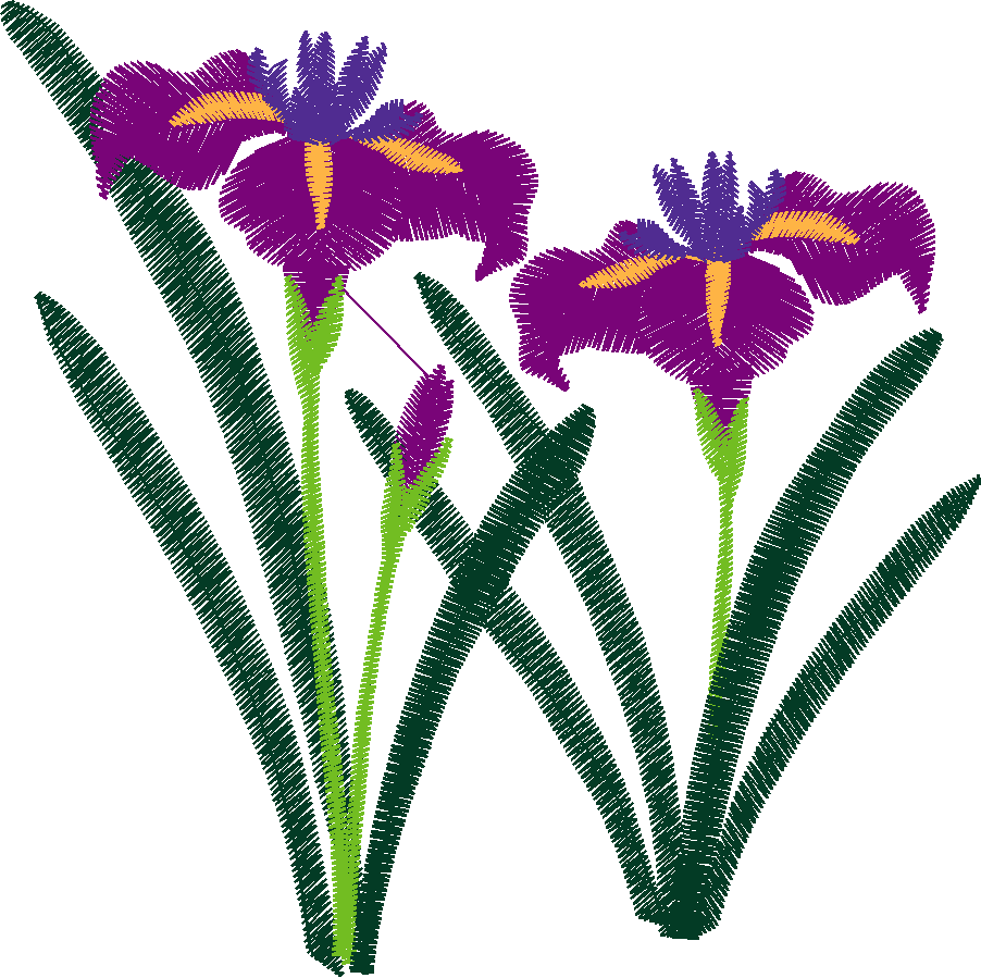 Hatched Africa 1  (39)