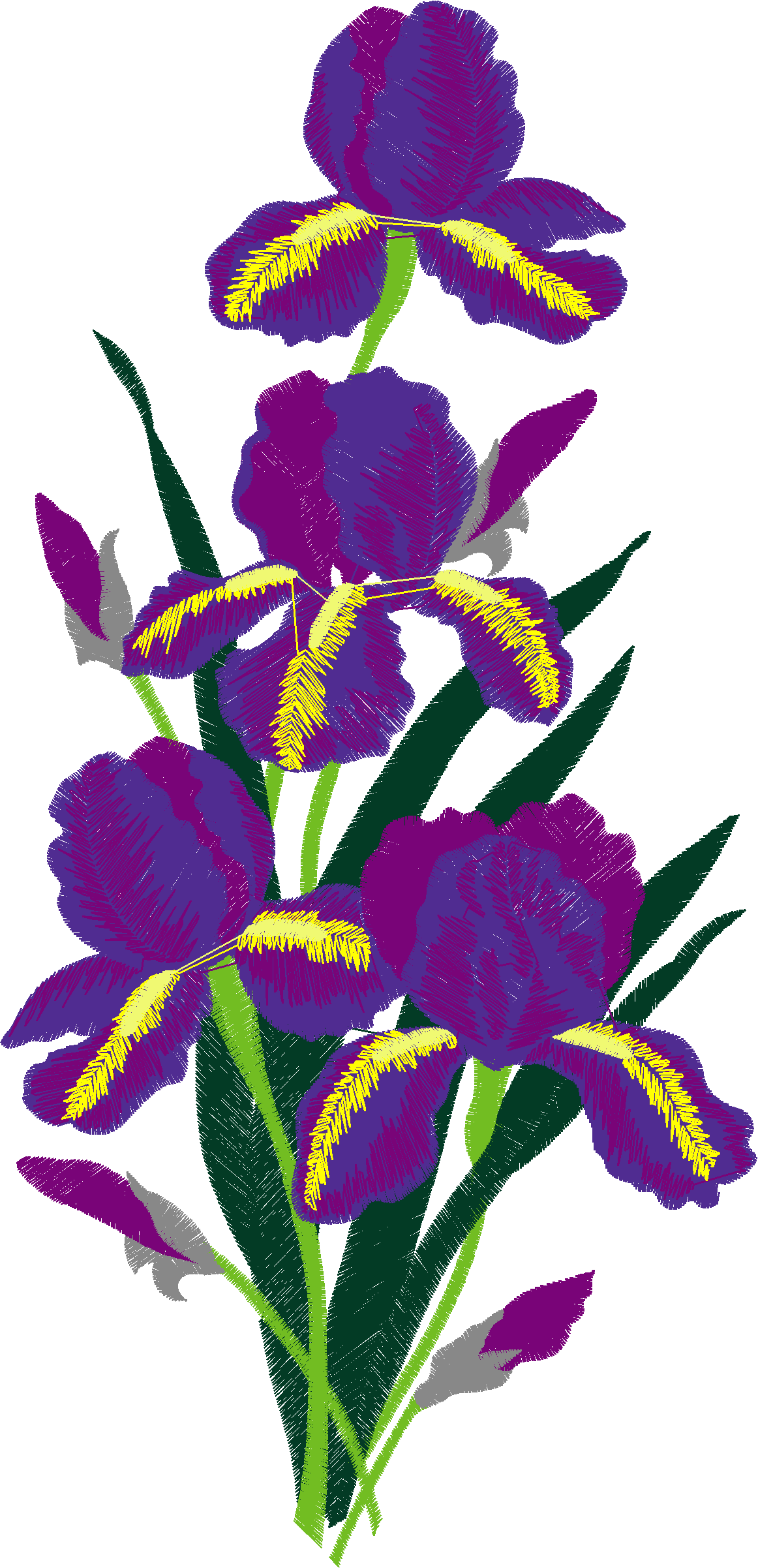 Hatched Africa 1  (43)#