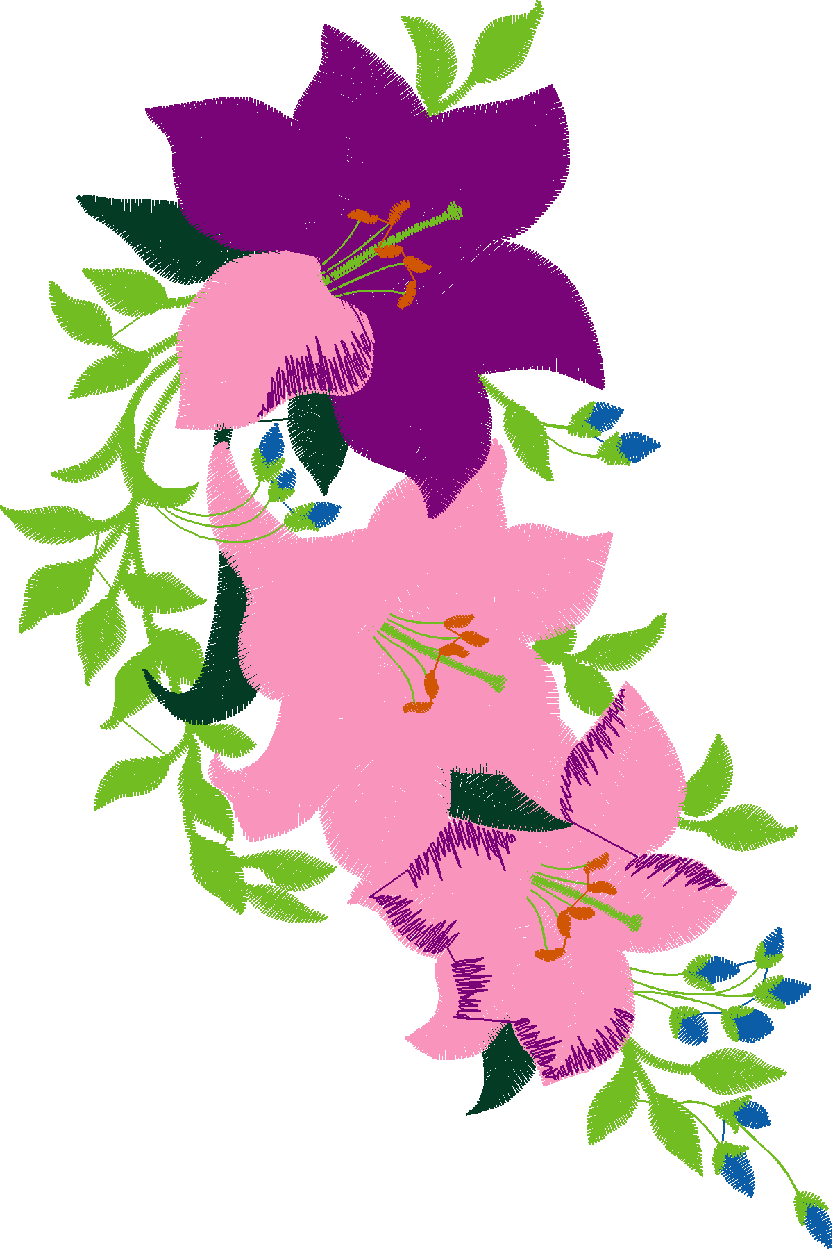 Hatched Africa 1  (44)