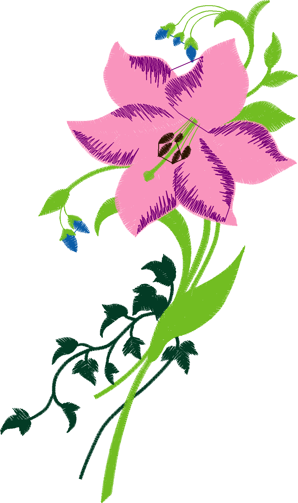 Hatched Africa 1  (45)