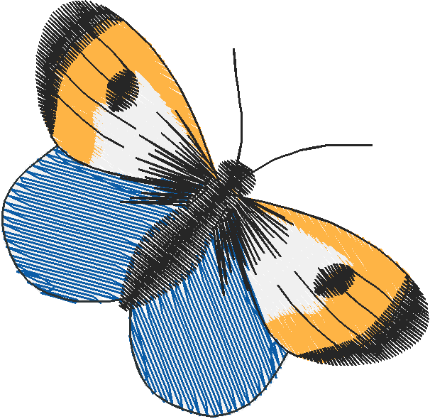 Hatched Africa 1  (5)