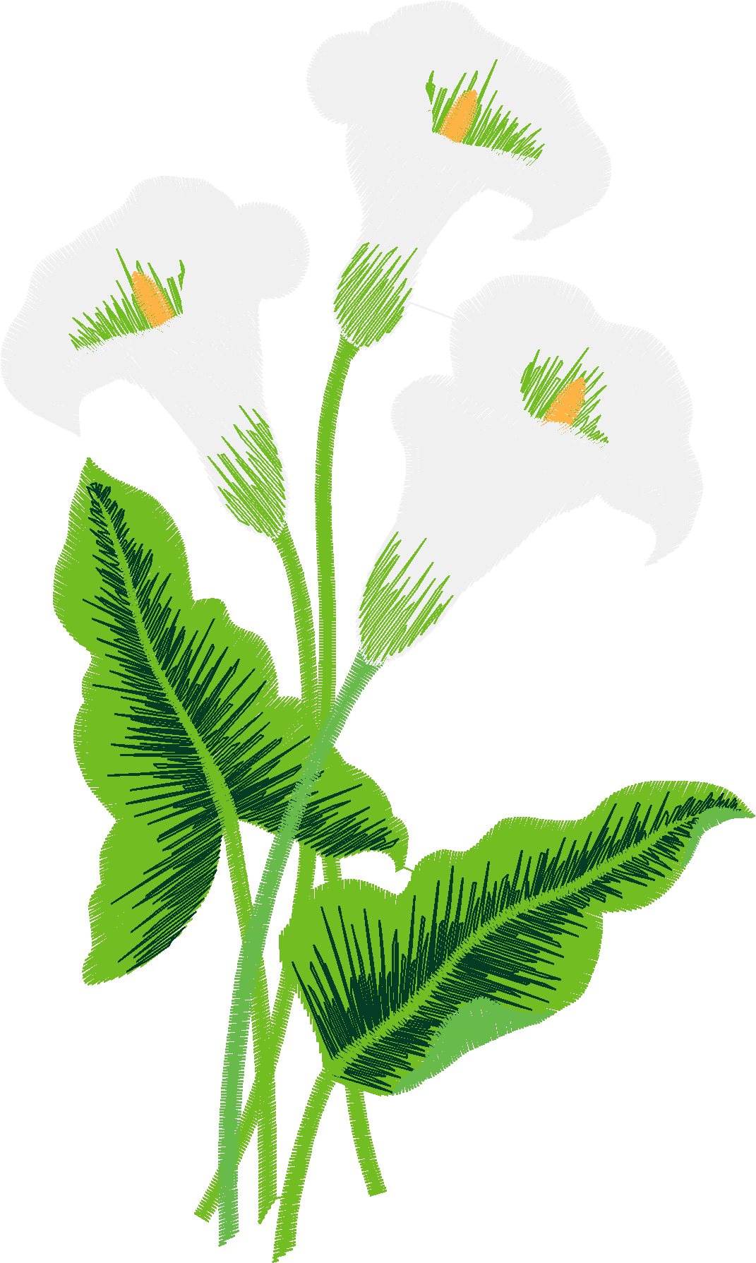 Hatched Africa 1  (6)