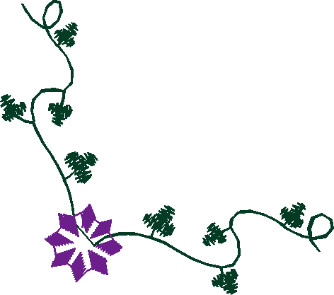 Heirloom 17 - Floral (7)