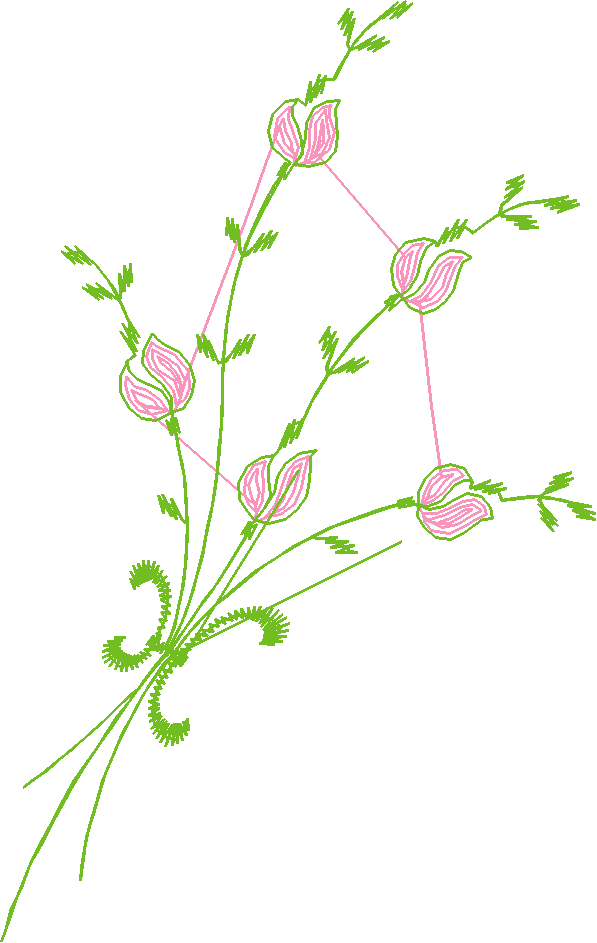 Heirloom 20 - Flowers (10)