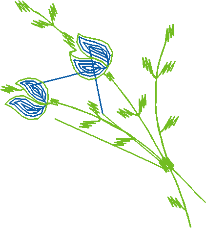 Heirloom 20 - Flowers (11)