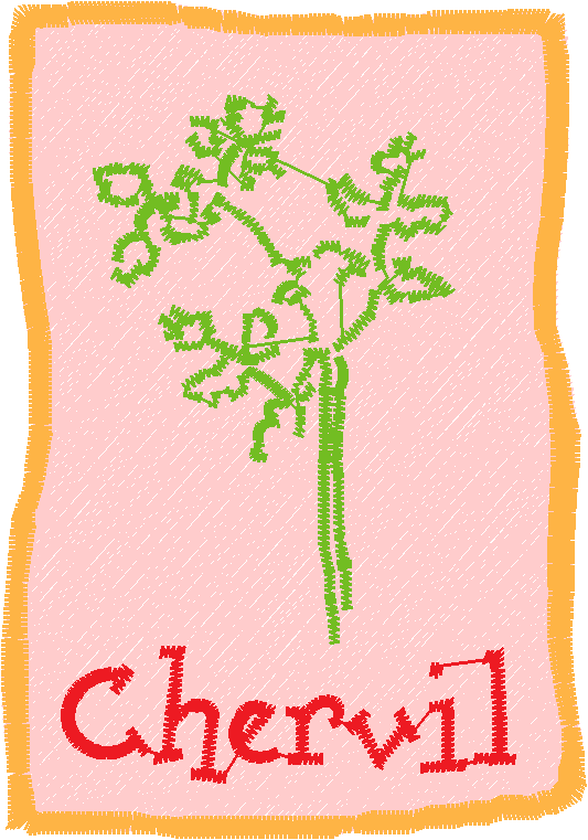 Herb Packets 1  (10)