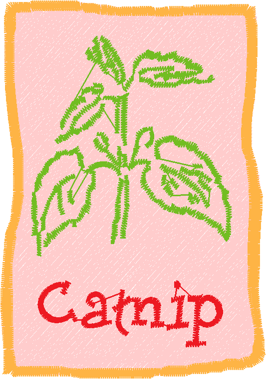 Herb Packets 1  (11)