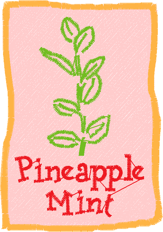 Herb Packets 1  (12)