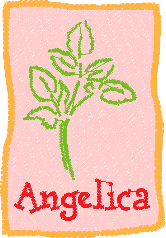 Herb Packets 1  (16)