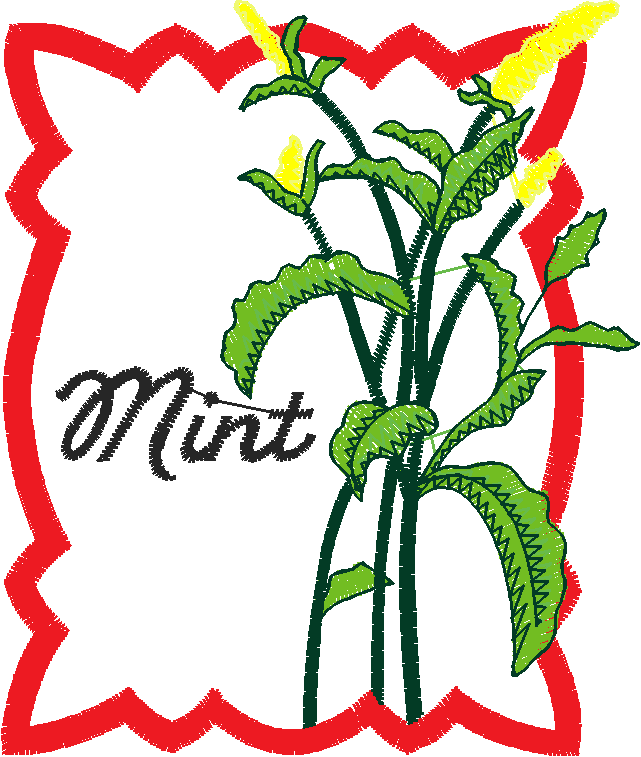 Herbs & Spices 1  (12)