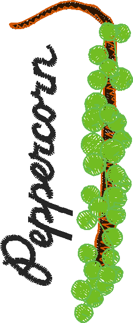 Herbs & Spices 1  (19)