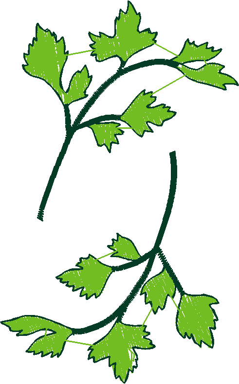 Herbs & Spices 1  (4)