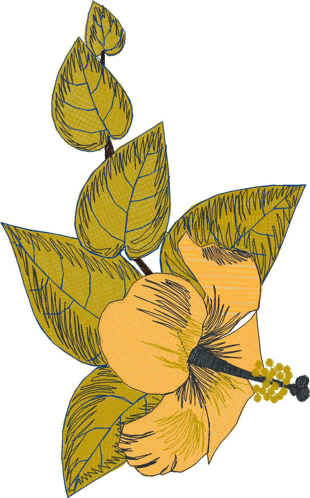 Hibiscus Table Cloth Border (5)