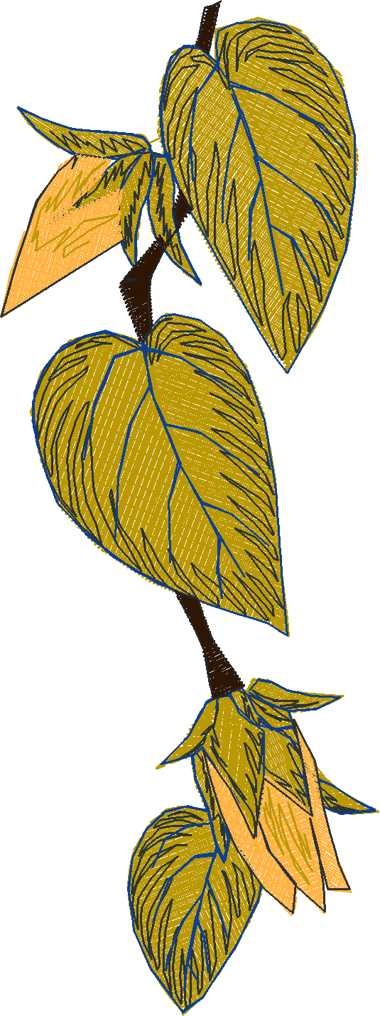 Hibiscus Table Cloth Border (6)