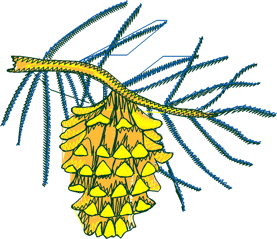 Hiking & Camping 1  (17)