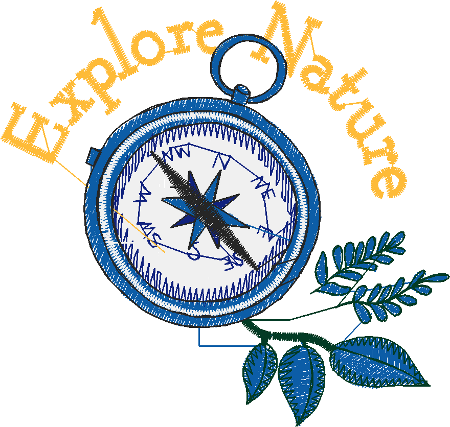 Hiking & Camping 1  (5)