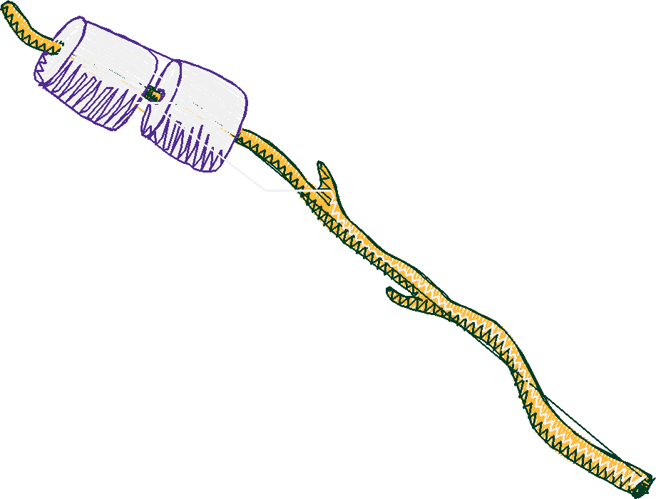 Hiking & Camping 1  (7)