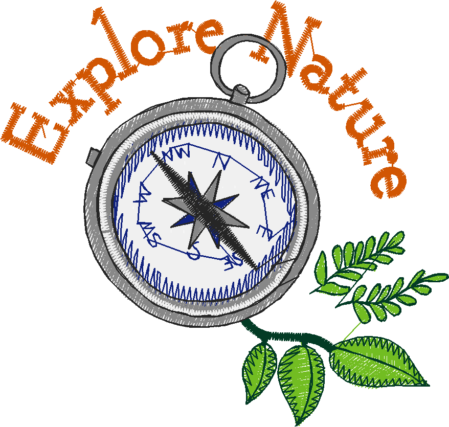 Hiking & Camping 2 (16)