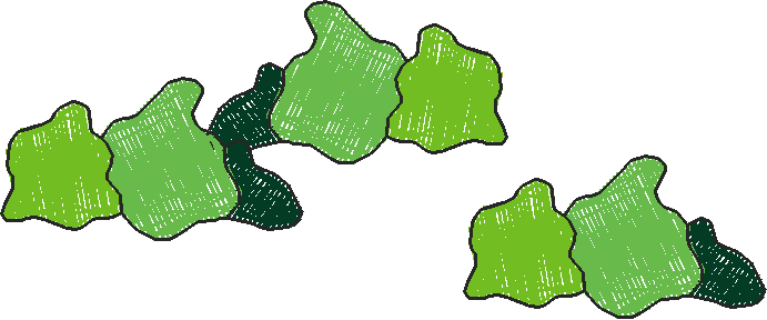 Home & Garden 1  (14)