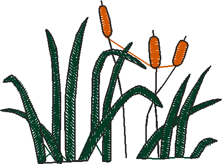 Home & Garden 1  (19)