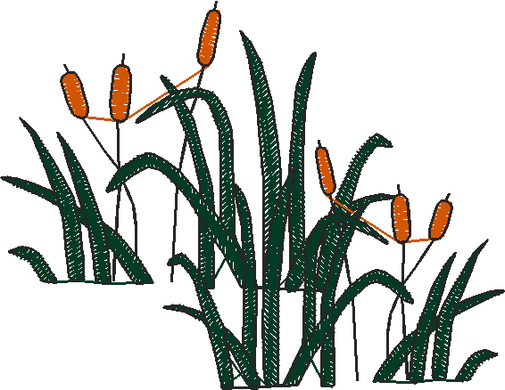 Home & Garden 1  (20)