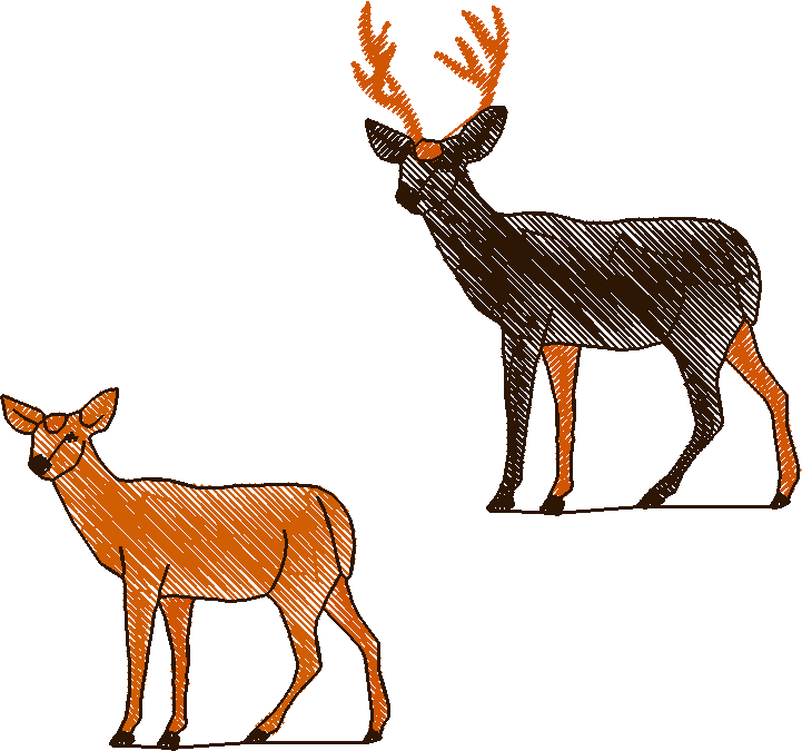 Home & Garden 1  (30)