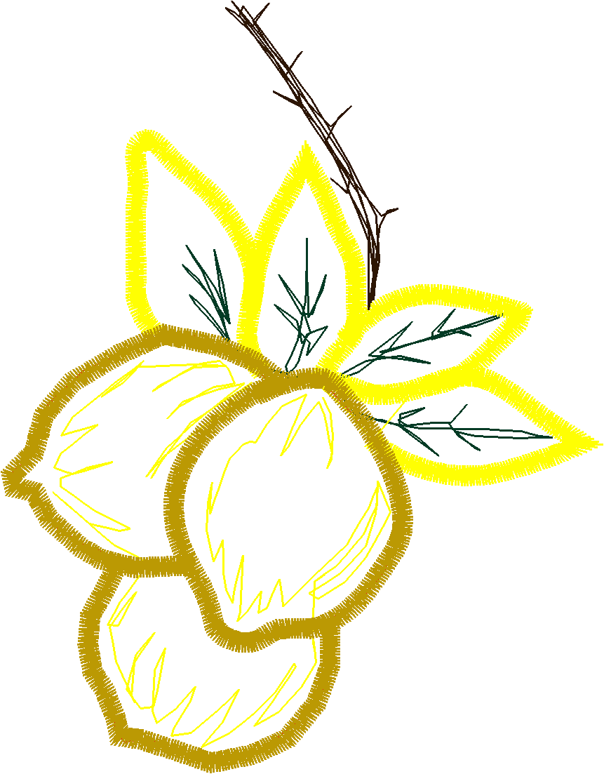 Home & Garden 1  (81)