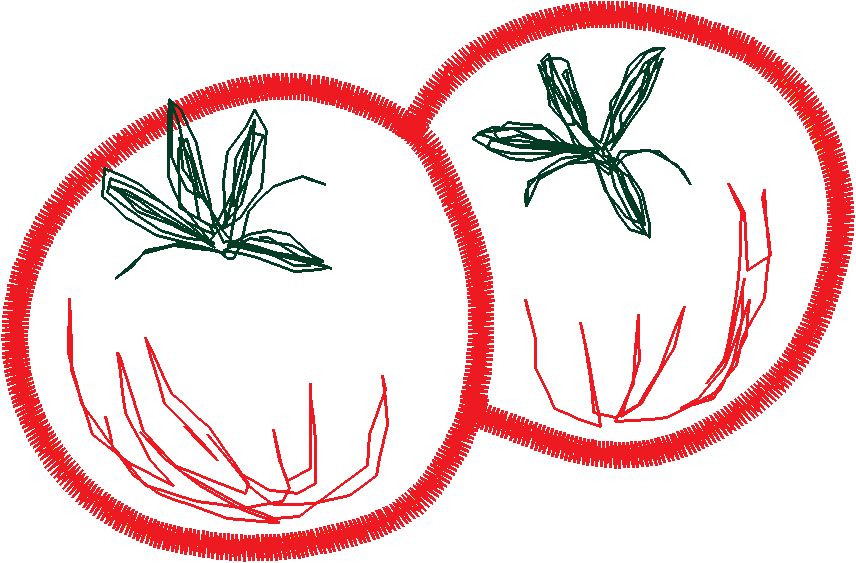 Home & Garden 1  (86)