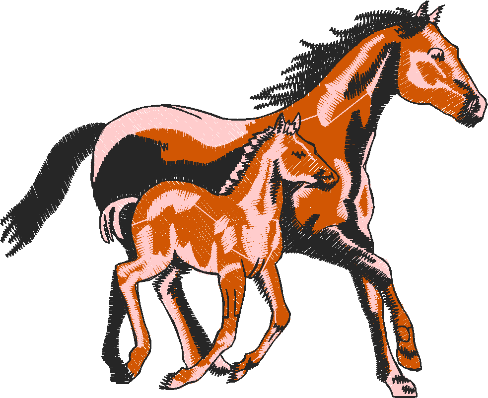 Horse & Equipment 1 (2)