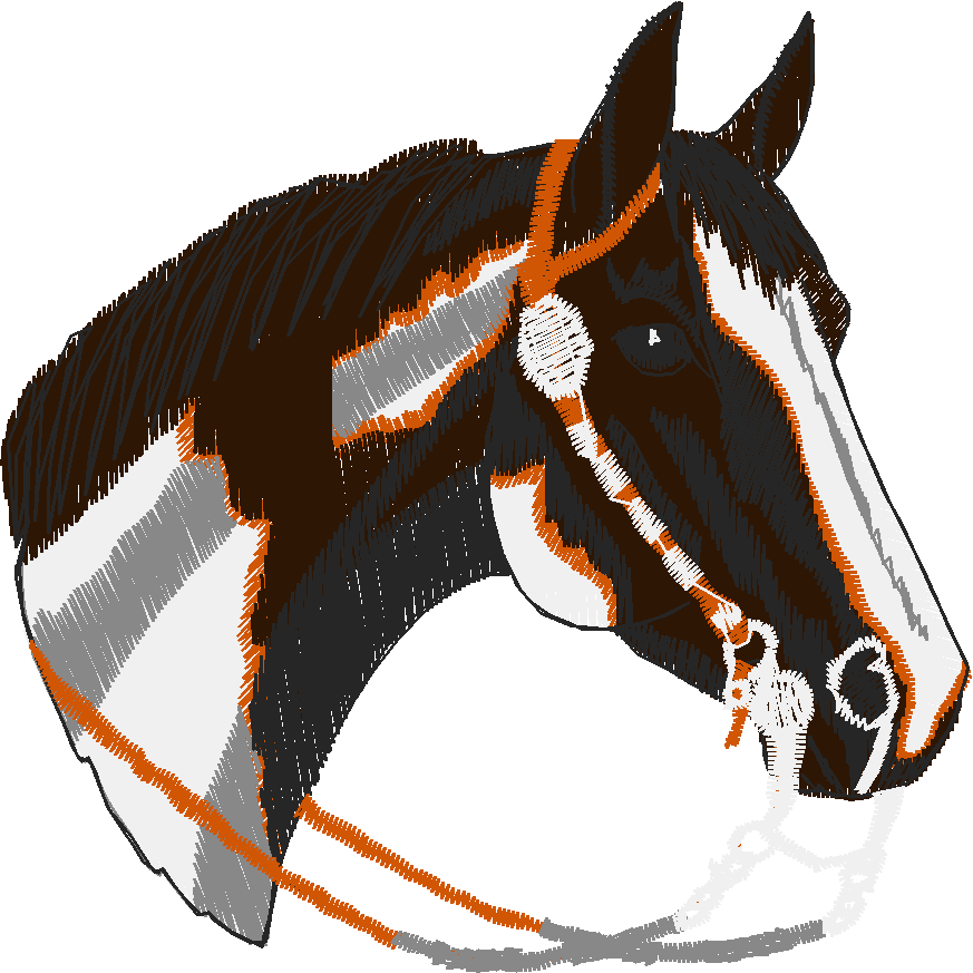 Horse & Equipment 1 (7)