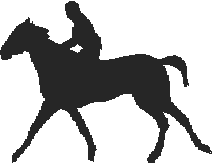 Horses 15  (13)