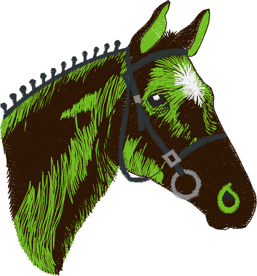 Horses 4  (12)