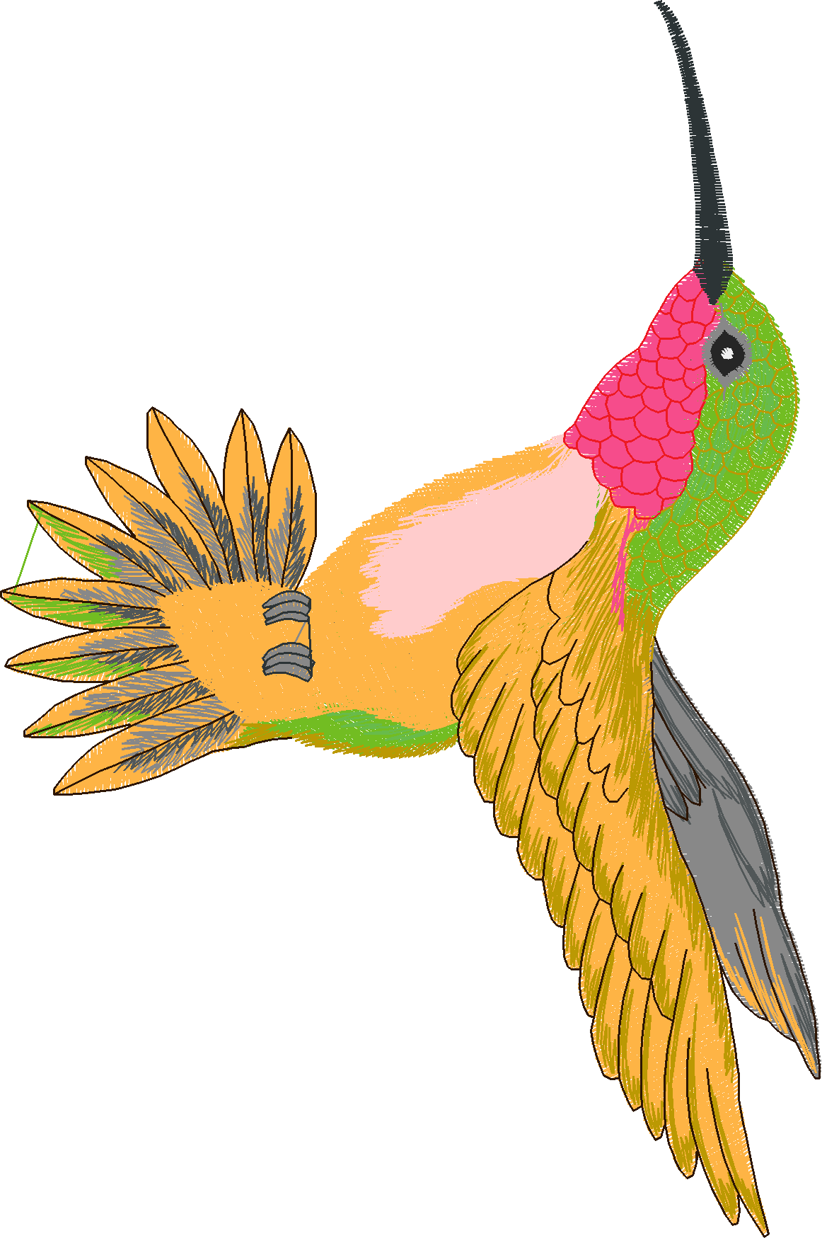 Humming Birds 1  (11)