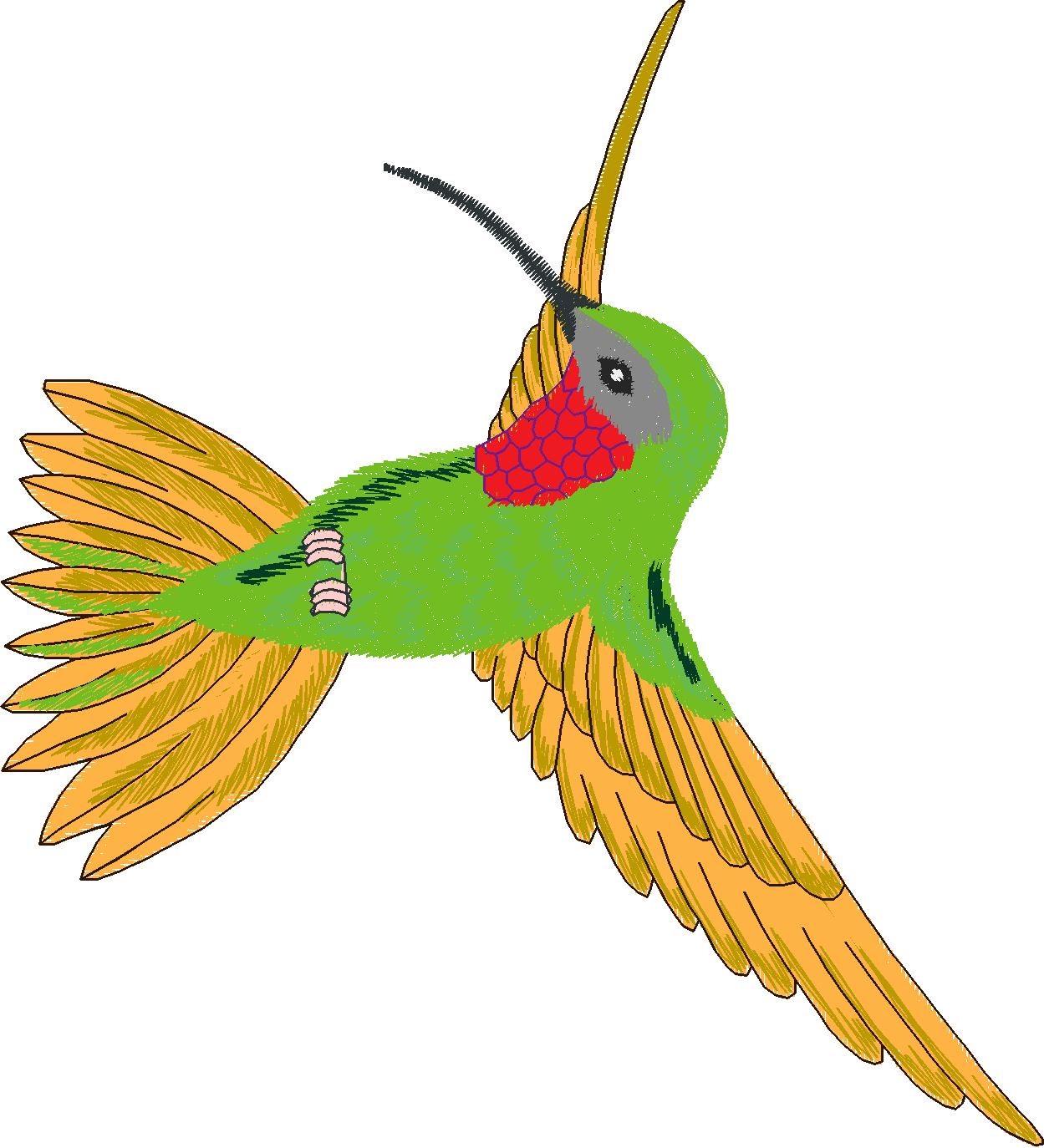 Humming Birds 1  (13)