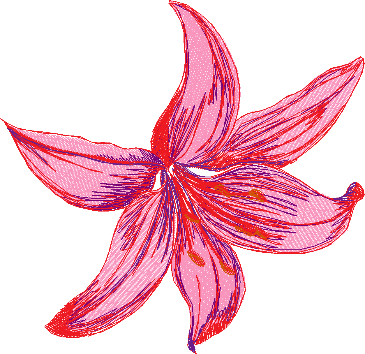 Humming Birds 1  (2)