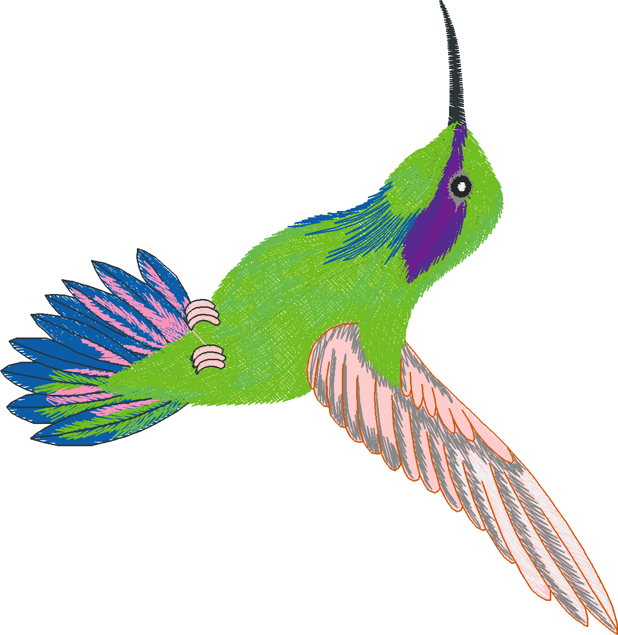 Humming Birds 1  (4)