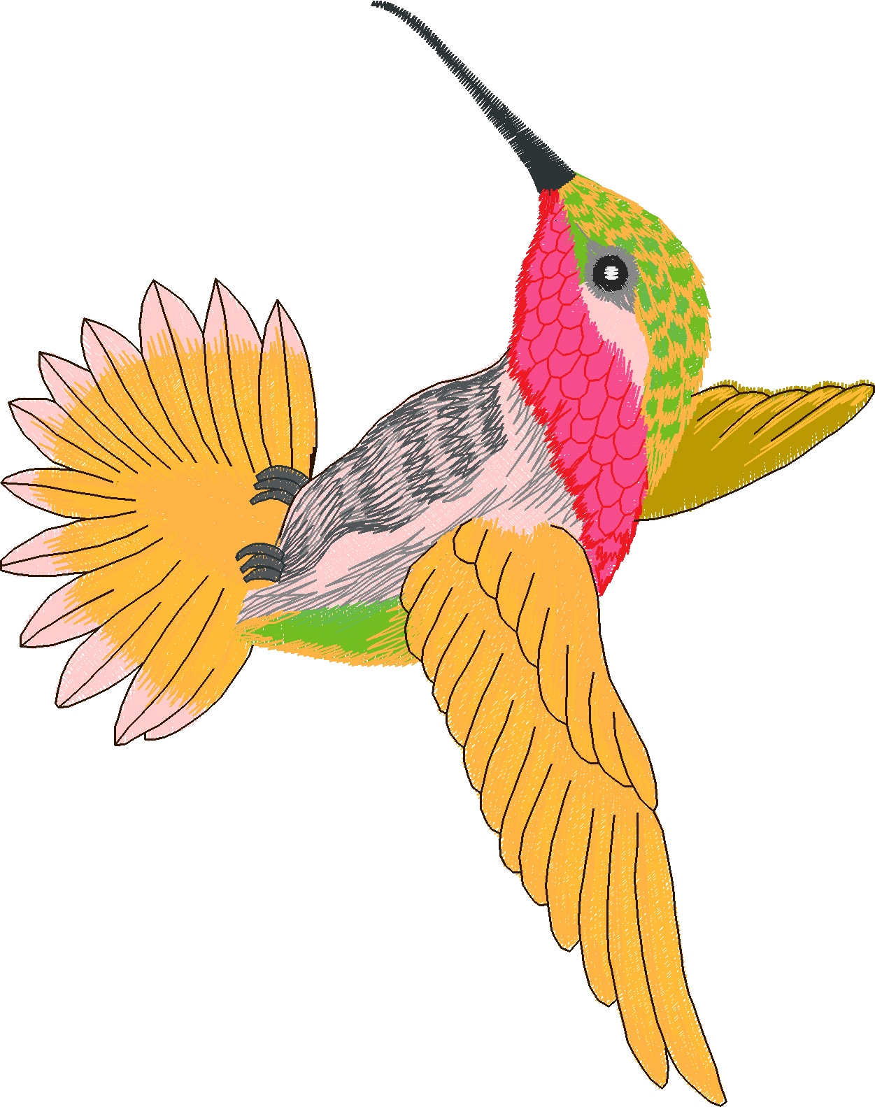 Humming Birds 1  (7)