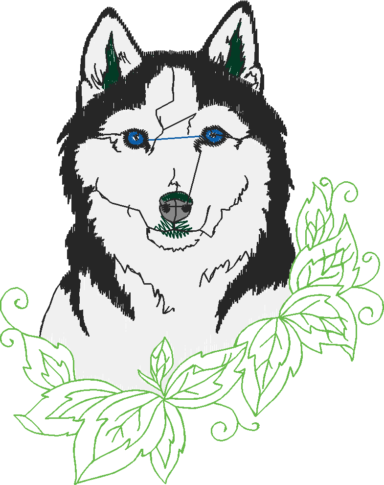Huskies 1 (9)