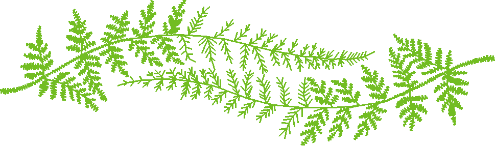 In The Timber 1  (1)