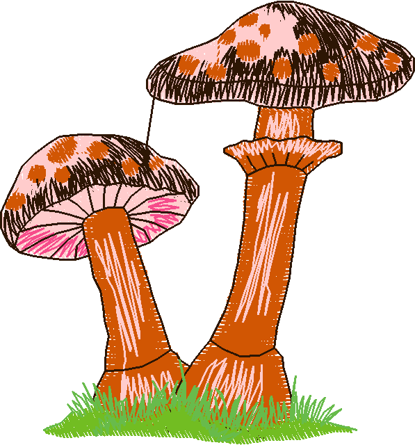 In The Timber 1  (10)