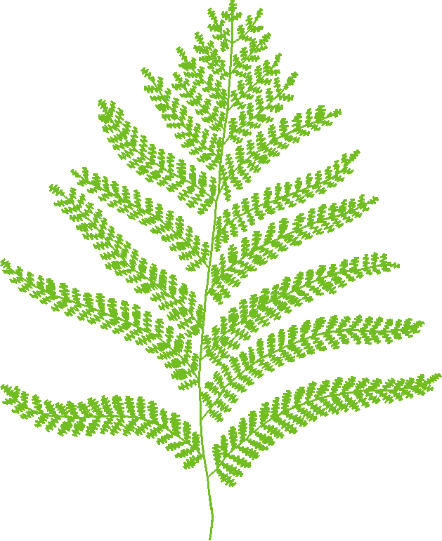 In The Timber 1  (11)