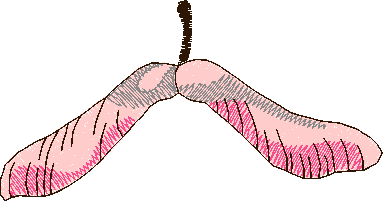 In The Timber 1  (12)