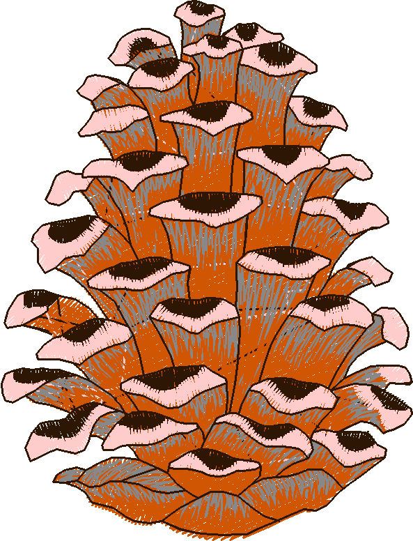 In The Timber 1  (13)