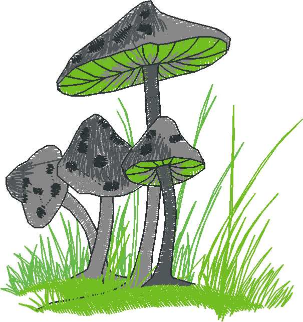 In The Timber 1  (15)