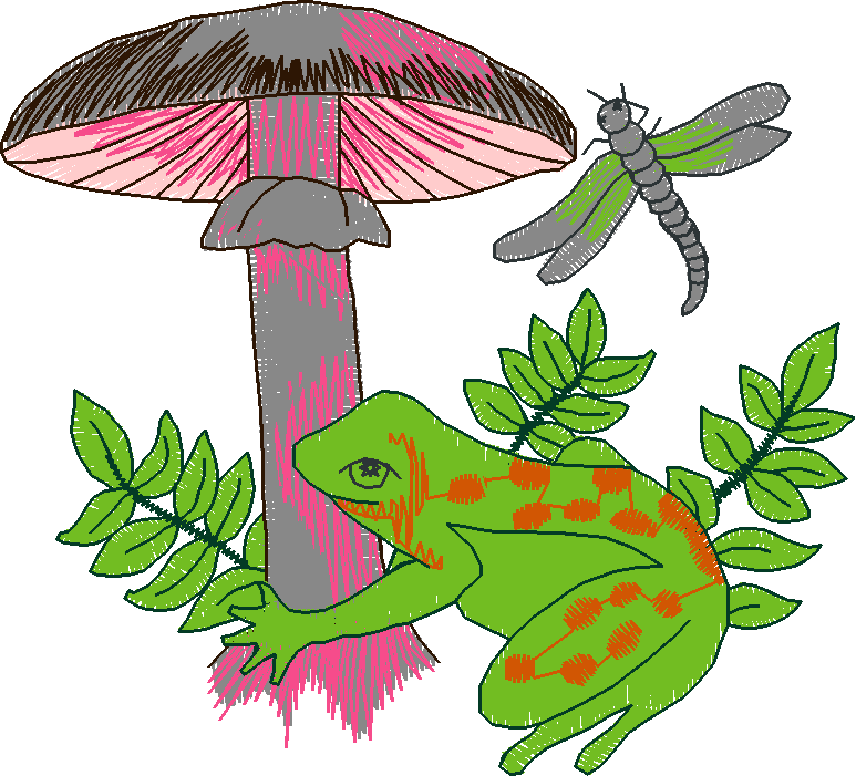 In The Timber 1  (18)