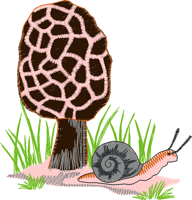 In The Timber 1  (19)