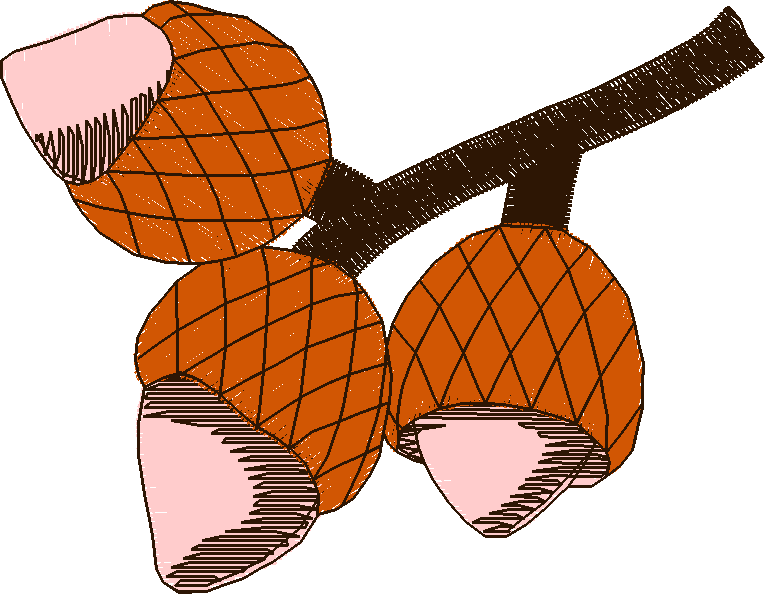 In The Timber 1  (3)