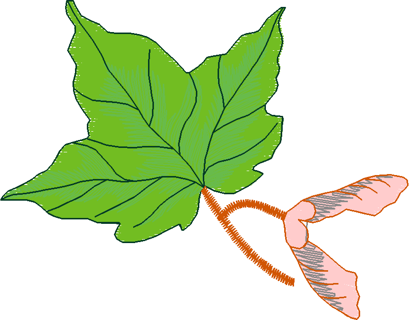 In The Timber 1  (4)