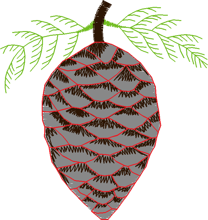 In The Timber 1  (7)