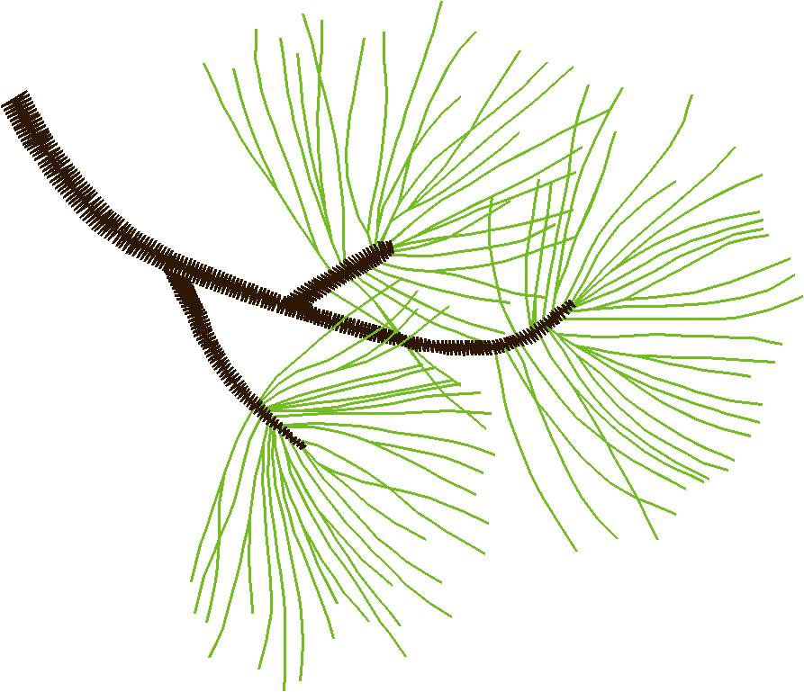 In The Timber 1  (8)